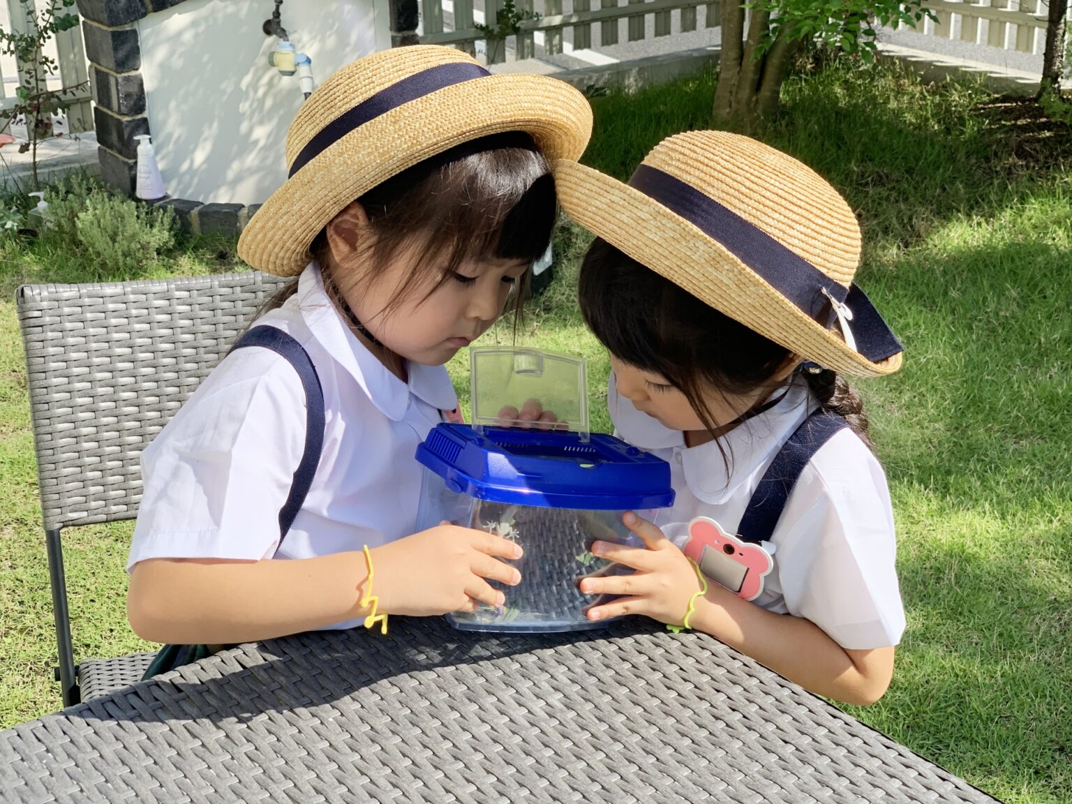 麦わら帽子の洗い方 幼稚園の園児帽の汗ジミと臭いを綺麗にする方法 Joy Of Living
