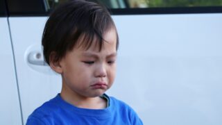 保育園に行きたくないと嫌がる3歳 よくある理由とおすすめの対処法 季節と暮らす生活ノート 保育園に行きたくないと嫌がる3歳 よくある理由とおすすめの対処法 季節と暮らす生活ノート